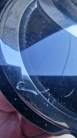TOYOTA 9097502159 Эмблема решетки радиатора в наличии Хмельницкий