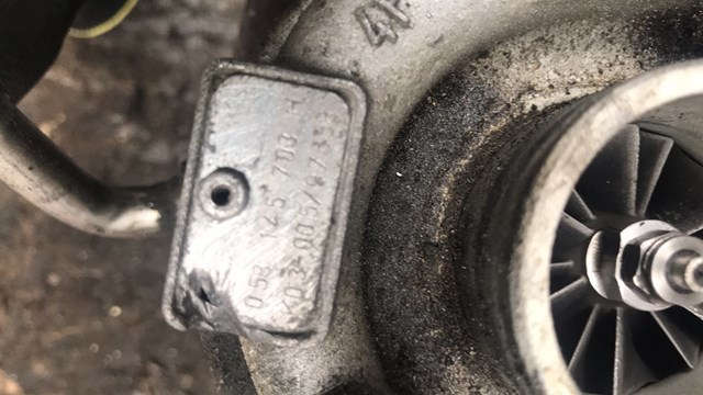 Турбина — фото 5