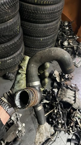 Шланг (патрубок) радиатора охлаждения нижний — фото 2