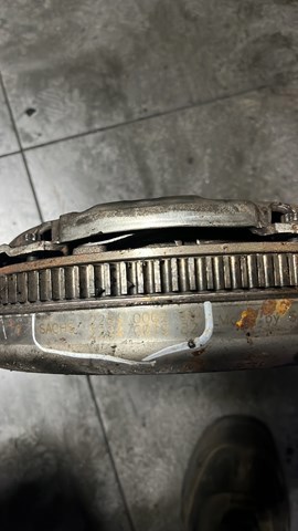 Щепення — фото 4