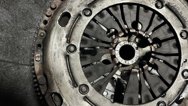 Щепення — фото 6