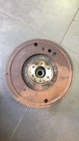 Щеплення — фото 3