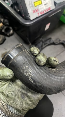 Шланг (патрубок) интеркуллера верхний — фото 2