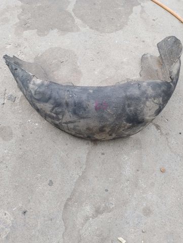 Підкрилок переднього крила, лівий задній — фото 5