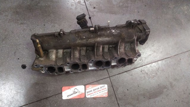 Колектор — фото 3