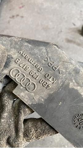 Патрубук — фото 2