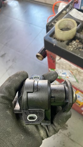 личинка — фото 2