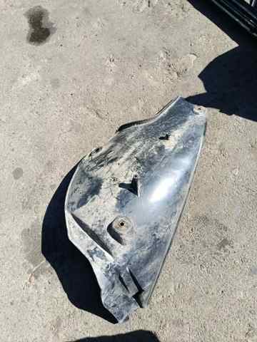 Підкрильник задній — фото 5