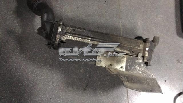 Інтеркулер — фото 3