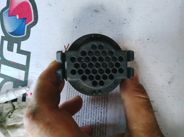 Гонг сирени — фото 5