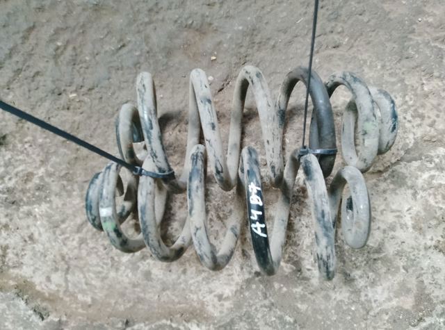 Пружина задня