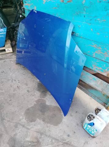 Капот — фото 3