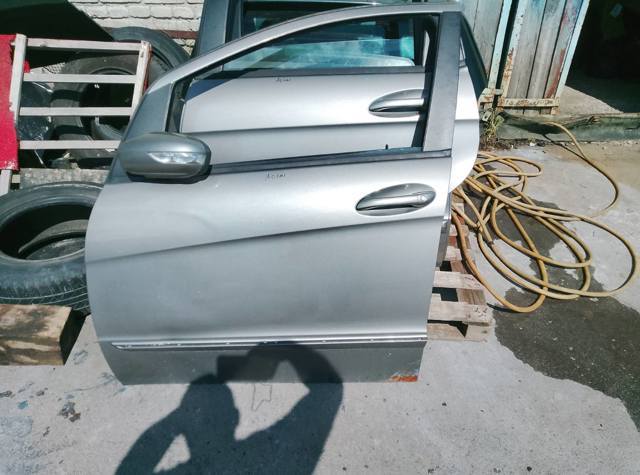 Двері передні, ліві — фото 3