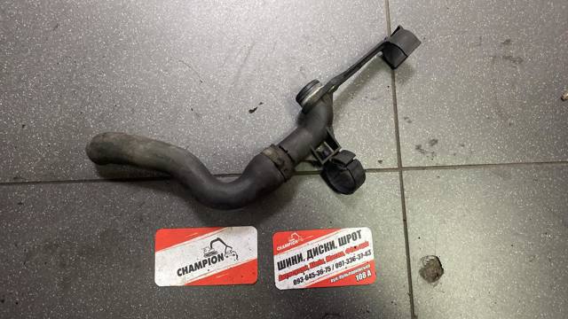 Трубка/шланг масляного радіатора, від блока до радіатора — фото 3