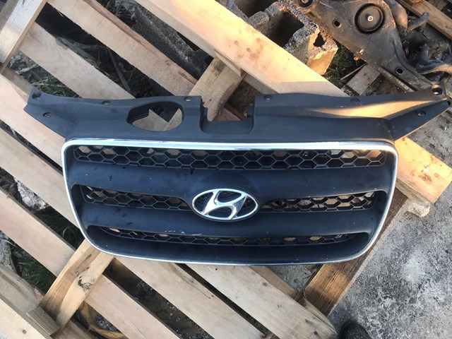 решітка радіатора