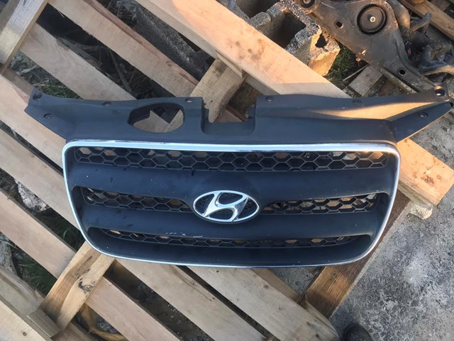 решітка радіатора — фото 3