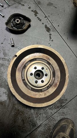 Щеплення — фото 3