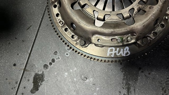 Щеплення — фото 4