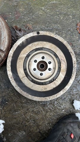 Щеплення — фото 4