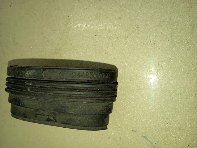 RENAULT 244930006R в наличии Львов