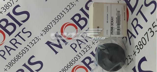 252863CKA1 купить Черкассы