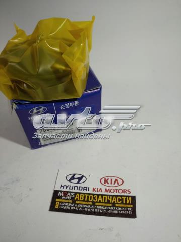 2528925000 HYUNDAI Ролик приводного ремня паразитный купить в Киев
