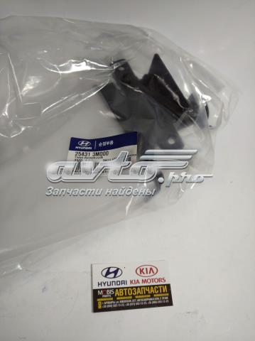  Расширительный бачок 254313M000 HYUNDAI