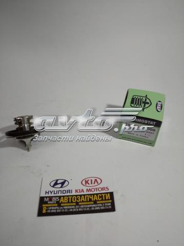 255002B000 HYUNDAI Термостат купить в Чернигов