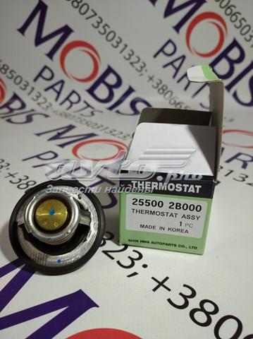 HYUNDAI 255002B000 Термостат в наличии Николаев