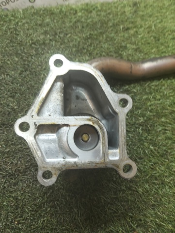 038115 NISSAN купить в Ирпень