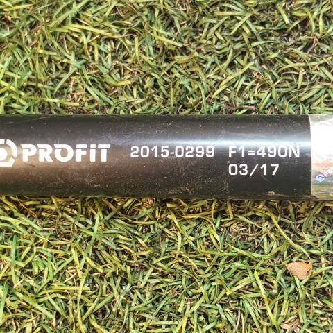 PROFIT 20150299 Амортизатор крышки багажника (двери 3/5-й задней) в наличии Ужгород