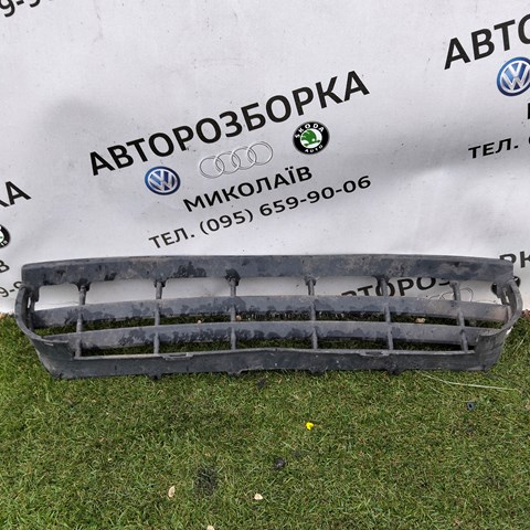 Решетка на бампер 2E0807835A VAG