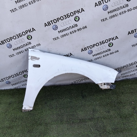 Правое крыло 3B0821106E VAG