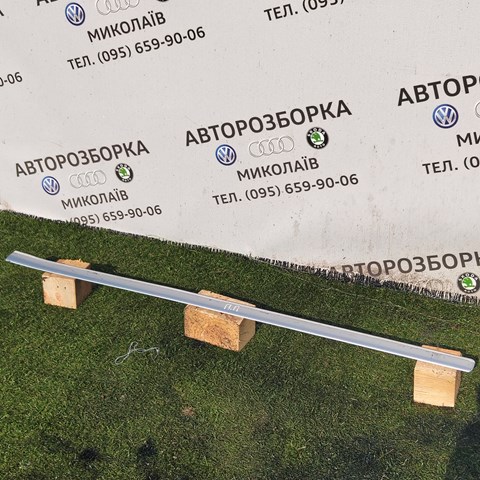 3B0853516C Молдинг двери передней правой купить Николаев