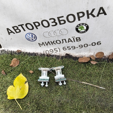 Петля двери задней (багажной 3/5-й) 3B9827301E VAG