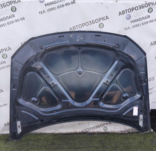 VAG 3C0823031 Капот в наличии Черновцы