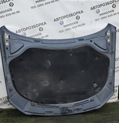 3C0823031 VAG Капот купить в Тернополь