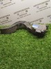 Педаль акселератора 8D1723523M VAG