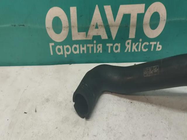 1234530 FORD Шланг (патрубок) радиатора охлаждения верхний купить в Хмельницкий