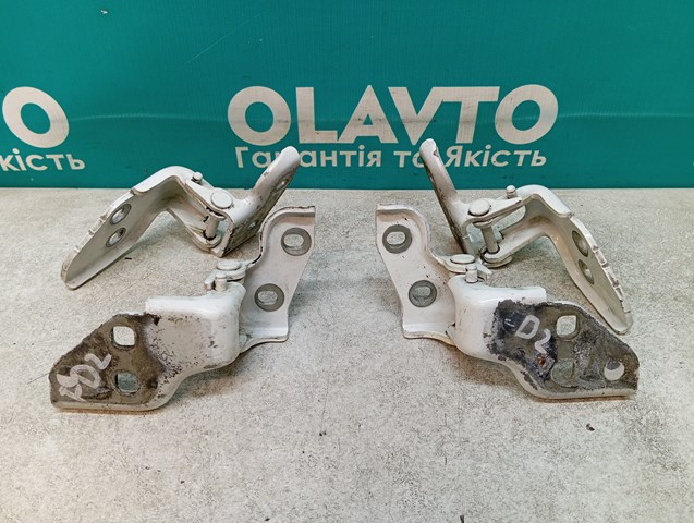 FIAT 1364057080 Петля двери передней левой в наличии Кривой Рог