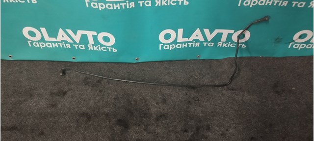 FORD 1370866 Шланг (патрубок) радиатора охлаждения верхний в наличии Львов