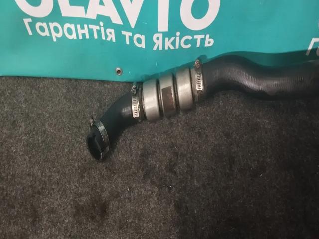 Шланг/патрубок интеркуллера 1496246 FORD