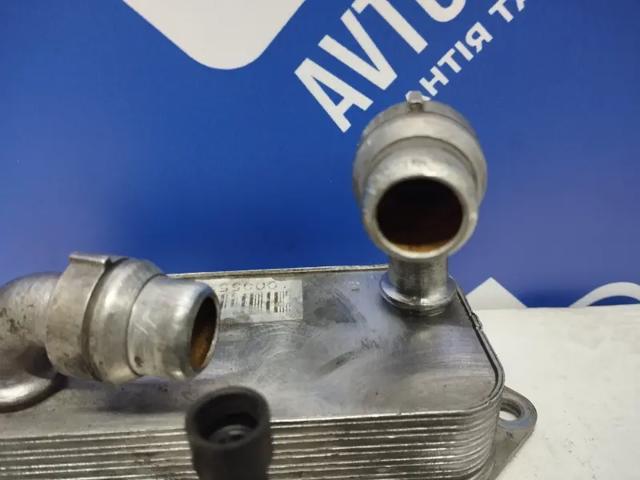 FIAT 55220558 в наличии Запорожье