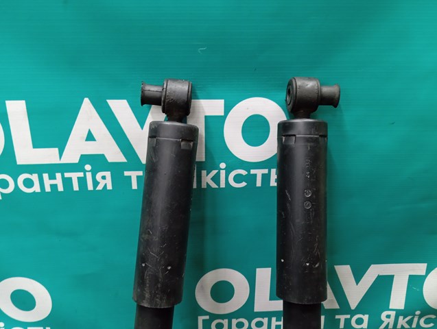 AC1118080AA FORD Амортизатор задний купить в Тернополь