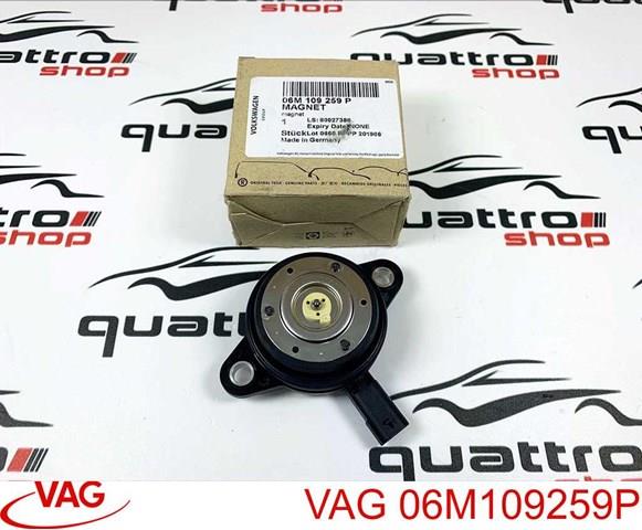 06M109259P VAG Клапан электромагнитный положения (фаз) распредвала купить в Львов