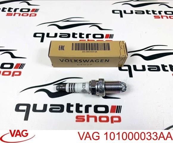 VAG 101000033AA Свечи зажигания в наличии Черновцы