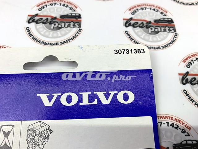 30731383 VOLVO Свеча зажигания купить в Павлоград