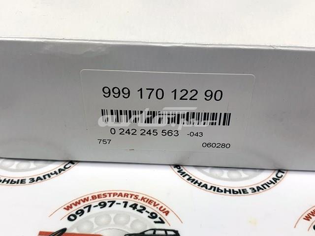 99917012290 Свечи зажигания купить Каменское