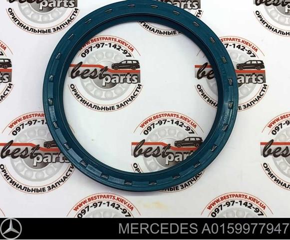 A0159977947 MERCEDES Сальник передней ступицы внешний купить в Житомир