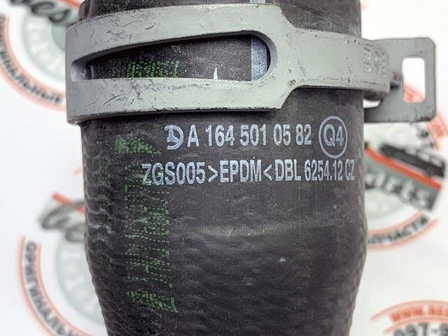 A1645010582 MERCEDES Нижний шлаг радиатора охлаждения купить в Черкассы